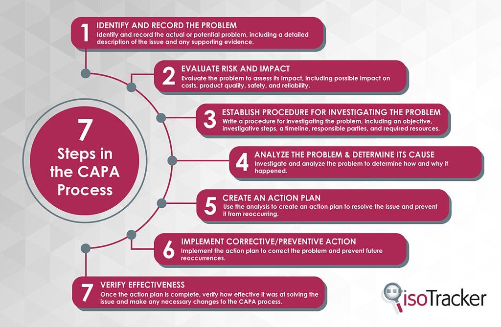 7 steps in the capa process infographic
