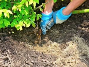 Root Cause Analysis