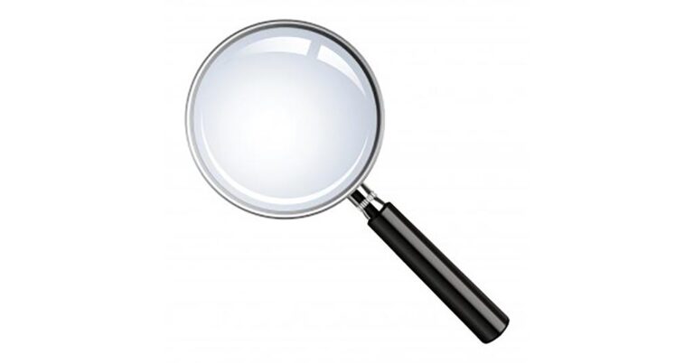 audit management in business